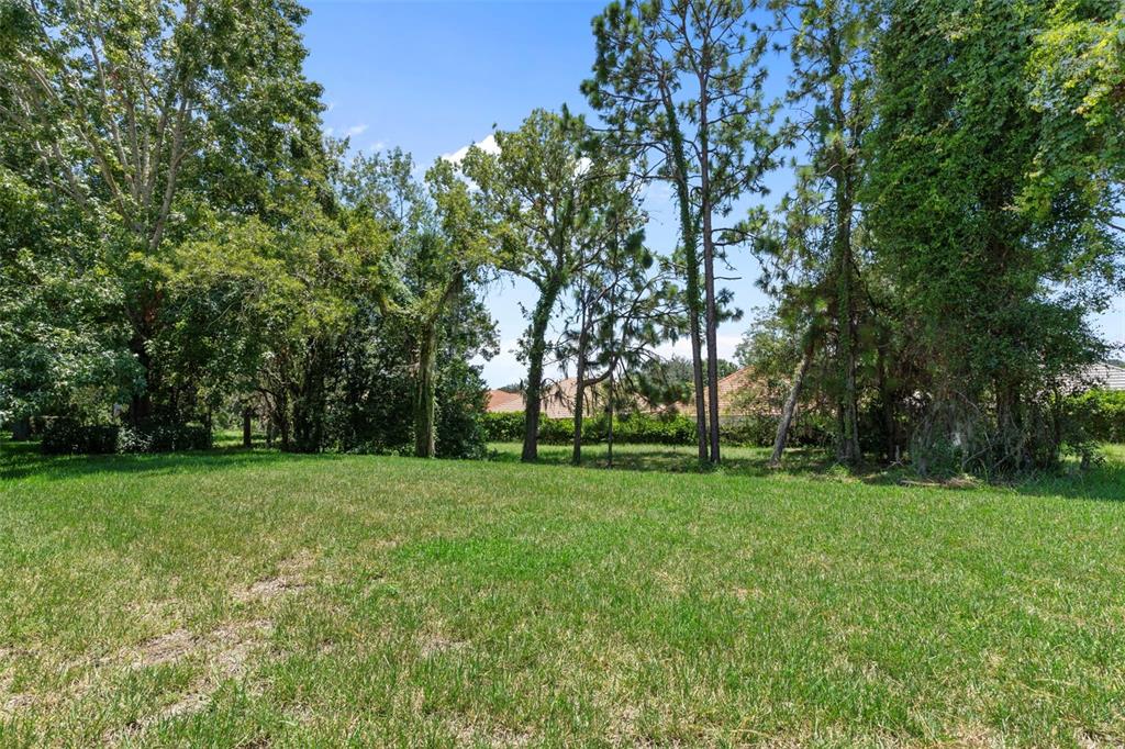 1031 West Diamond Shore Loop, Unit 5 Hernando, FL 34442 - Photo 45 of 69 a view of a grassy field with trees in the background