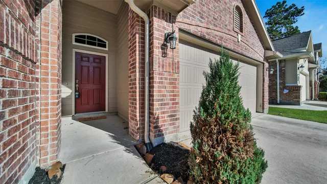 a potted plant sitting in front of a house