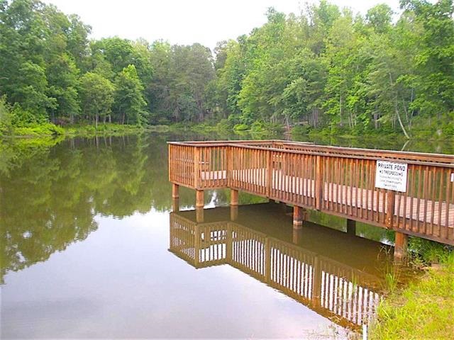 580 Canewood Lane Campobello, SC 29322 - Photo 15 of 17