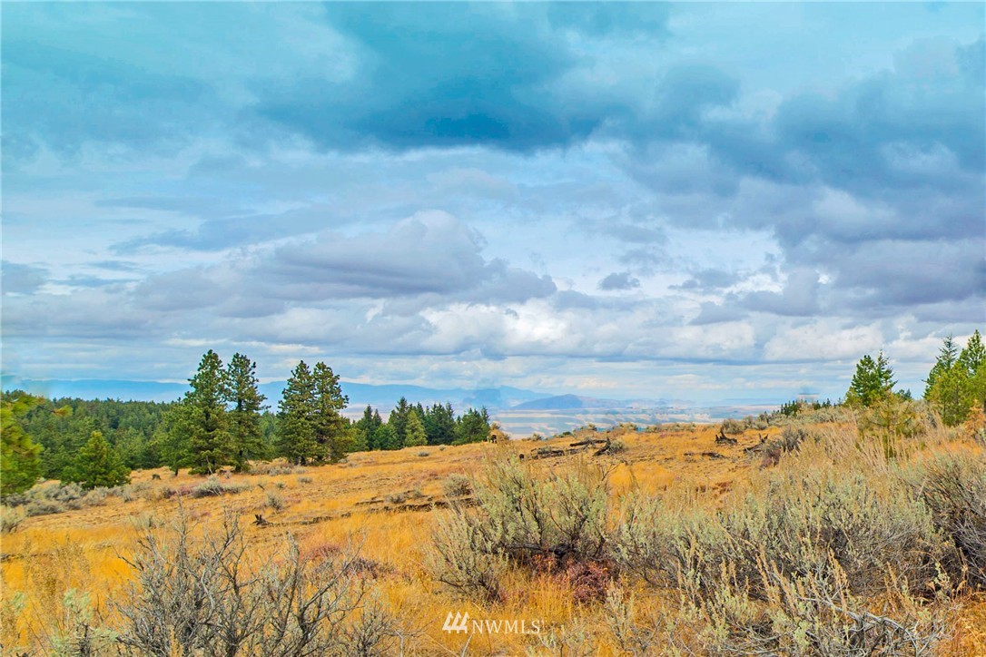 445 Ruud Canyon Road Southwest Waterville, WA 98858 - Photo 1 of 20 Gallery Image 1