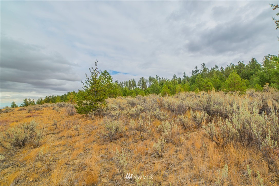 445 Ruud Canyon Road Southwest Waterville, WA 98858 - Photo 14 of 20 Gallery Image 14