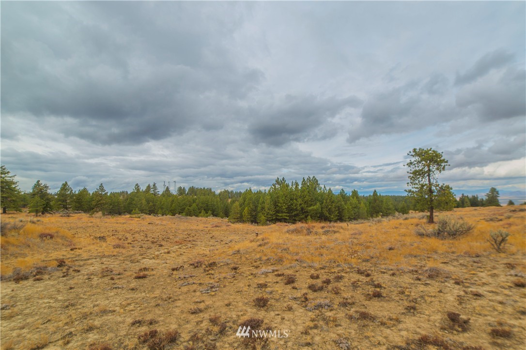 445 Ruud Canyon Road Southwest Waterville, WA 98858 - Photo 3 of 20 Gallery Image 3