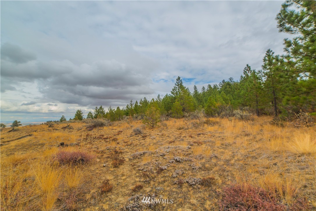 445 Ruud Canyon Road Southwest Waterville, WA 98858 - Photo 4 of 20 Gallery Image 4