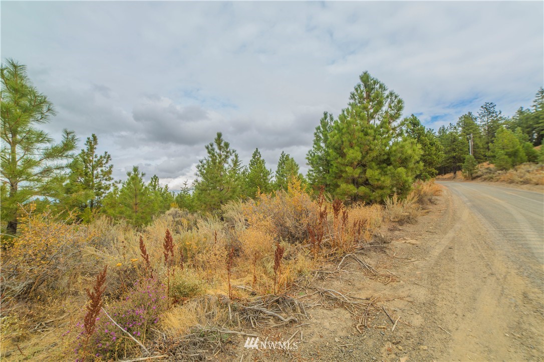445 Ruud Canyon Road Southwest Waterville, WA 98858 - Photo 7 of 20 Gallery Image 7