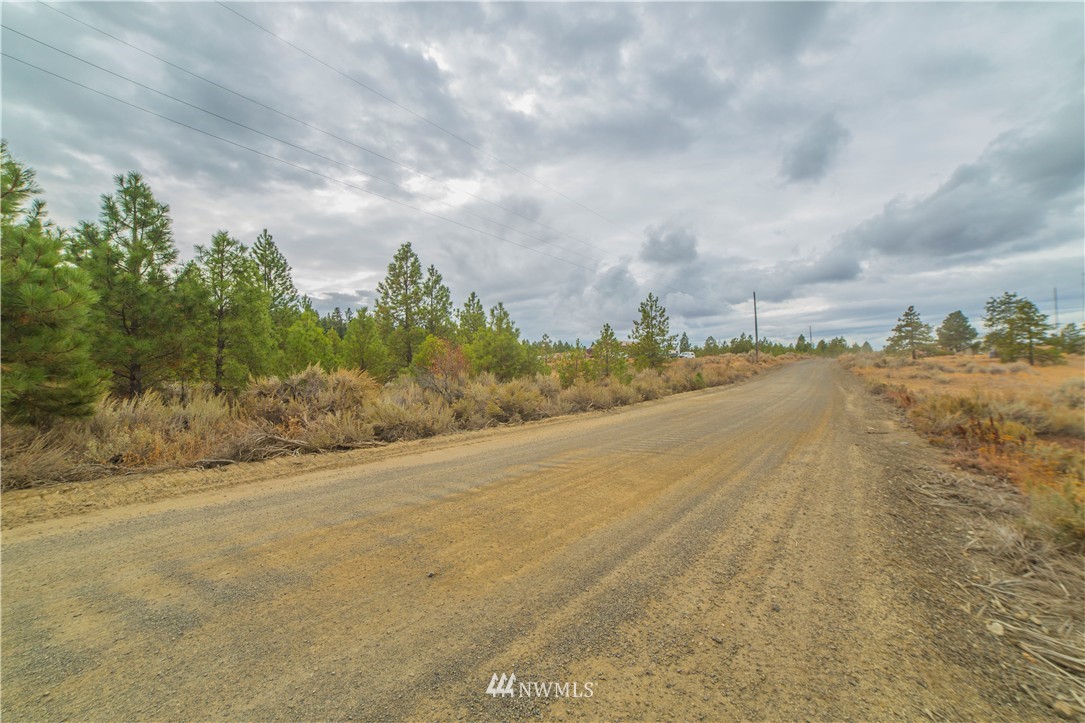 445 Ruud Canyon Road Southwest Waterville, WA 98858 - Photo 8 of 20 Gallery Image 8