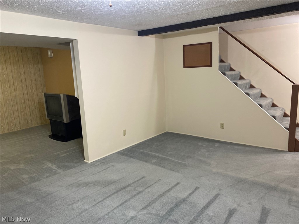309 Leatherman Road Wadsworth, OH 44281 - Photo 21 of 29 Side view of Rec Room.