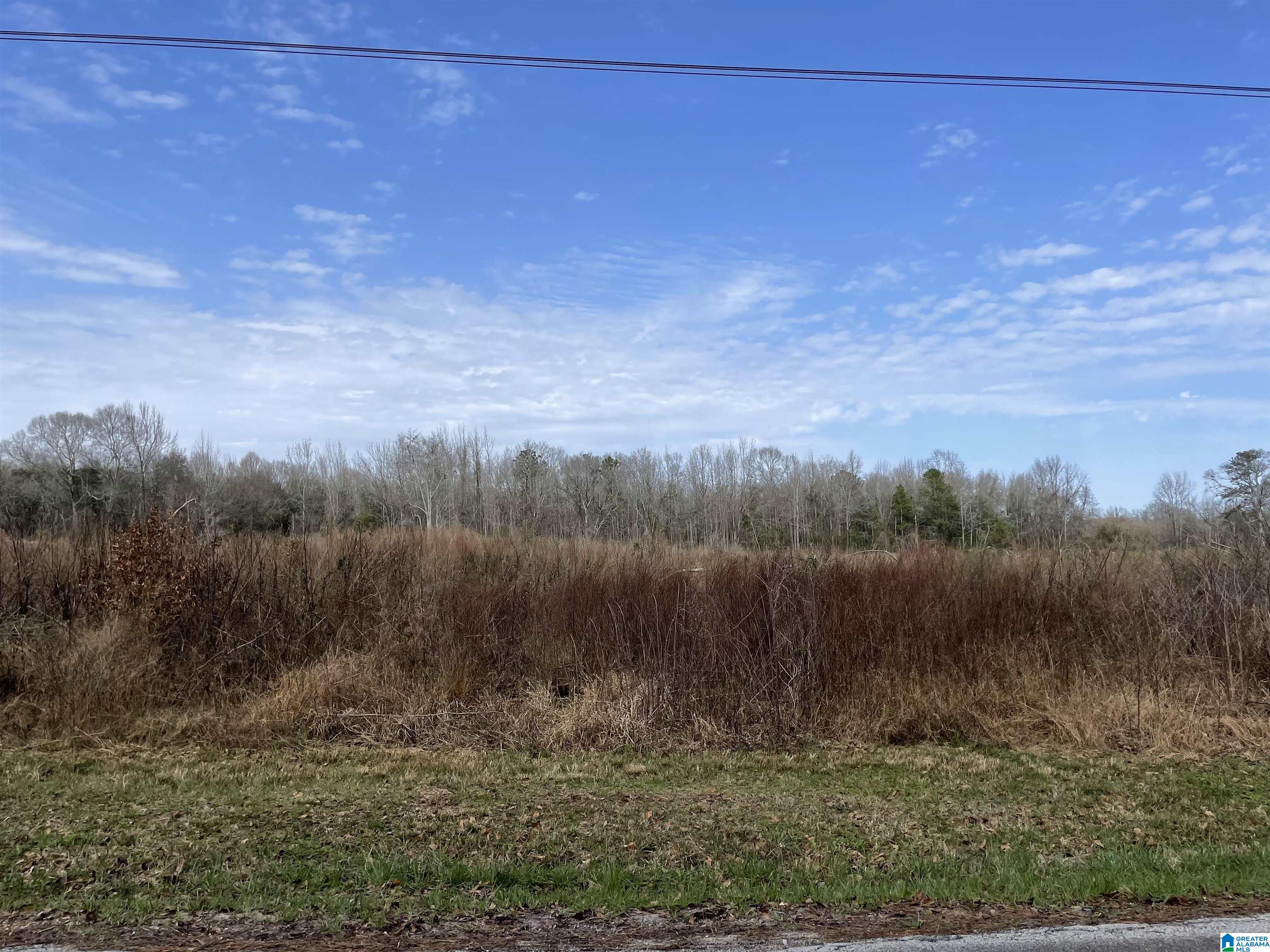 0 Kincheon Road Clanton, AL 35045 - Photo 37 of 45