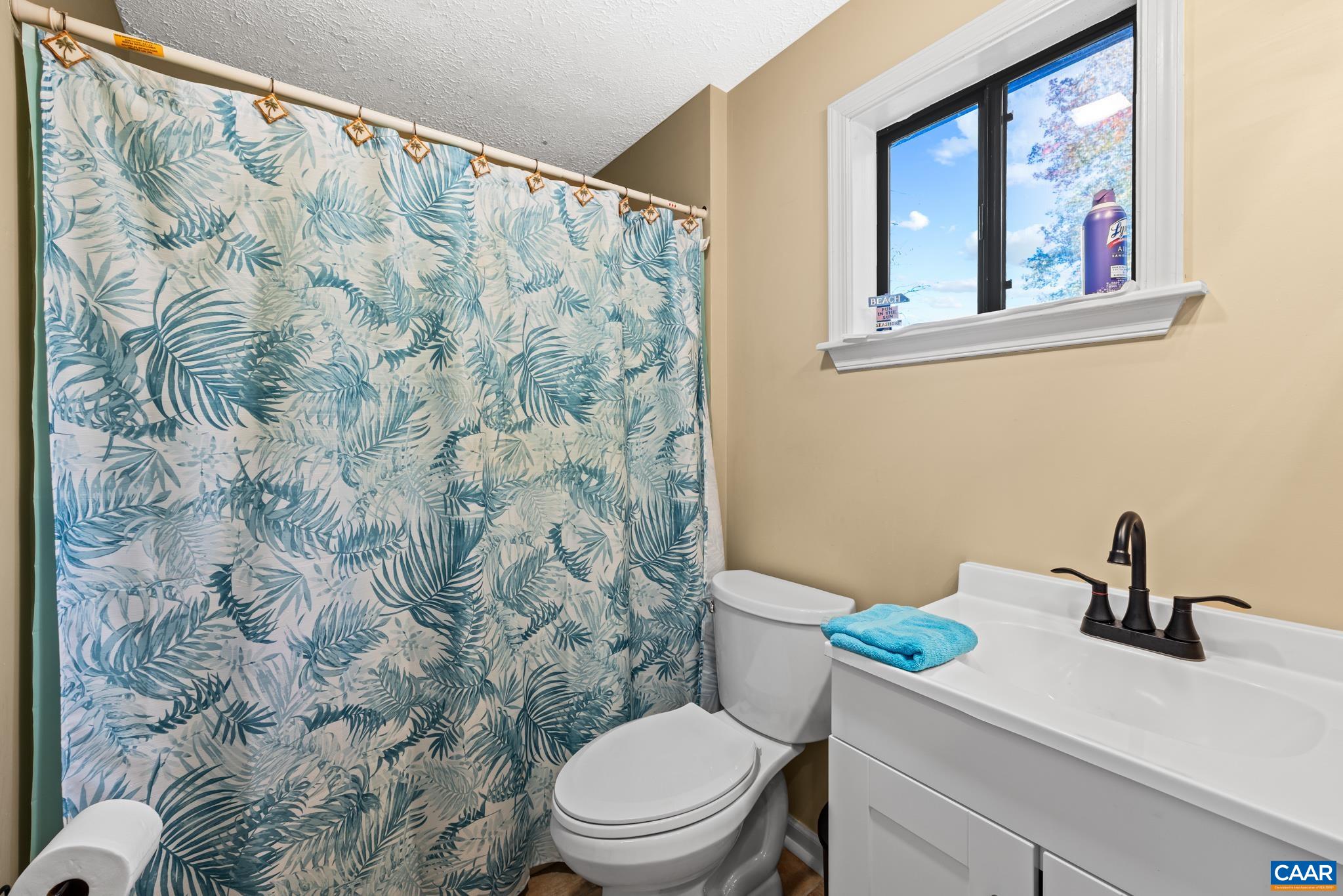 2530 Gillums Ridge Lane Charlottesville, VA 22903 - Photo 12 of 45 a bathroom with a toilet and a sink