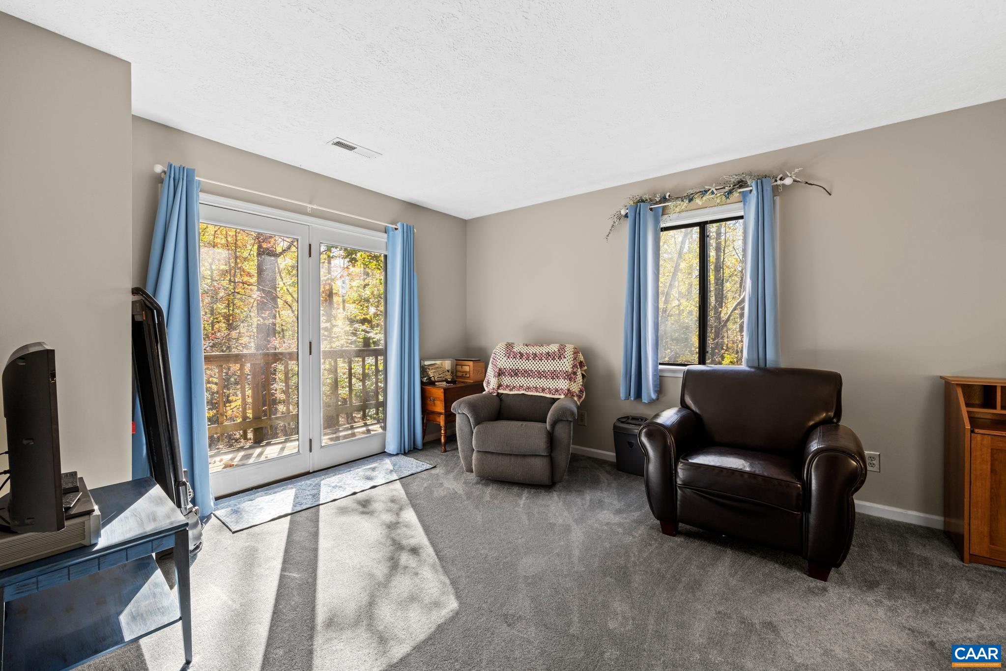 2530 Gillums Ridge Lane Charlottesville, VA 22903 - Photo 28 of 45 a living room with furniture and a flat screen tv