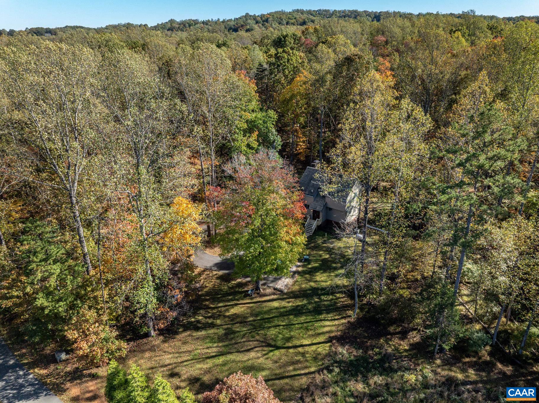 2530 Gillums Ridge Lane Charlottesville, VA 22903 - Photo 4 of 45 a view of a forest with an outdoor space