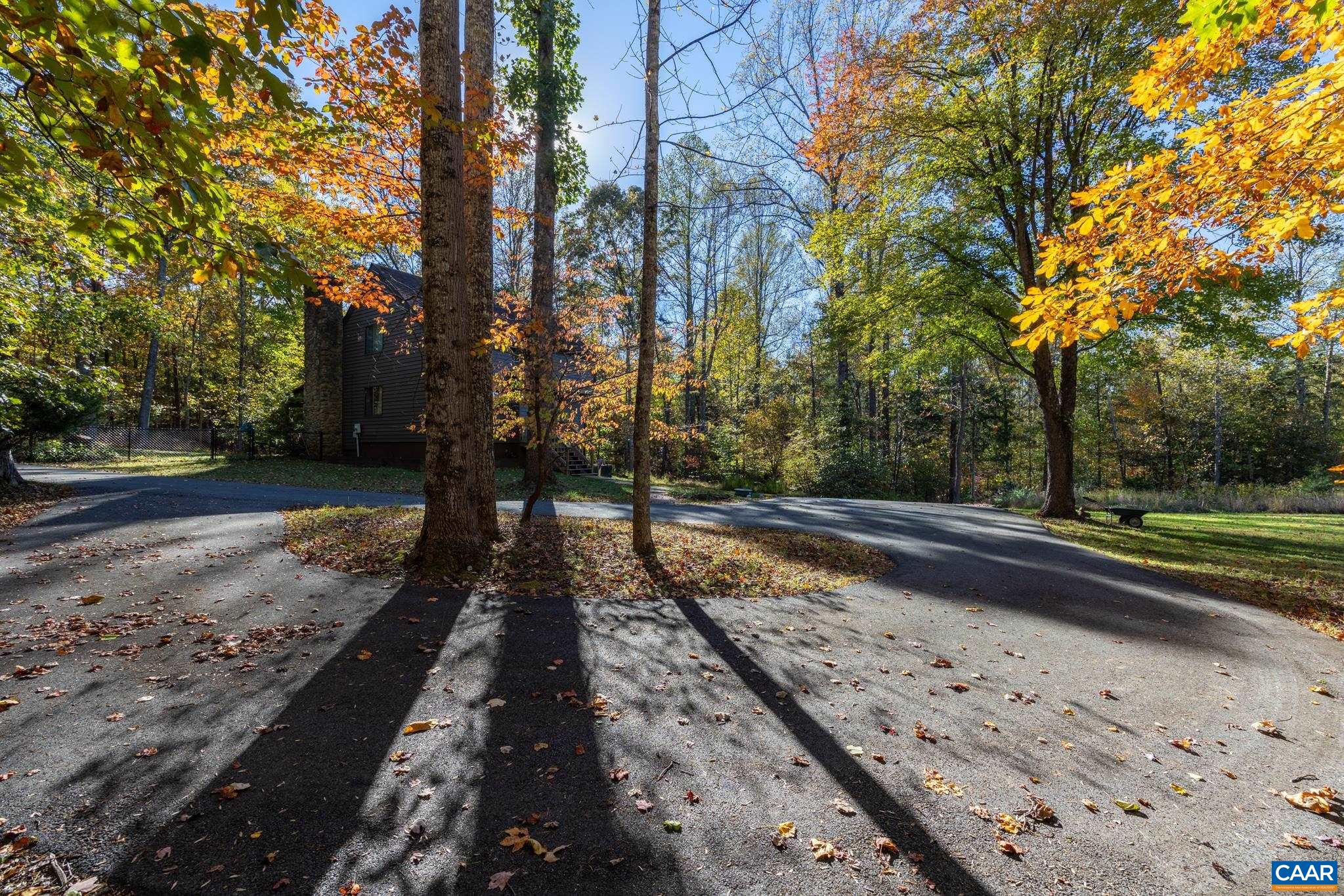 2530 Gillums Ridge Lane Charlottesville, VA 22903 - Photo 42 of 45 a view of a yard with trees