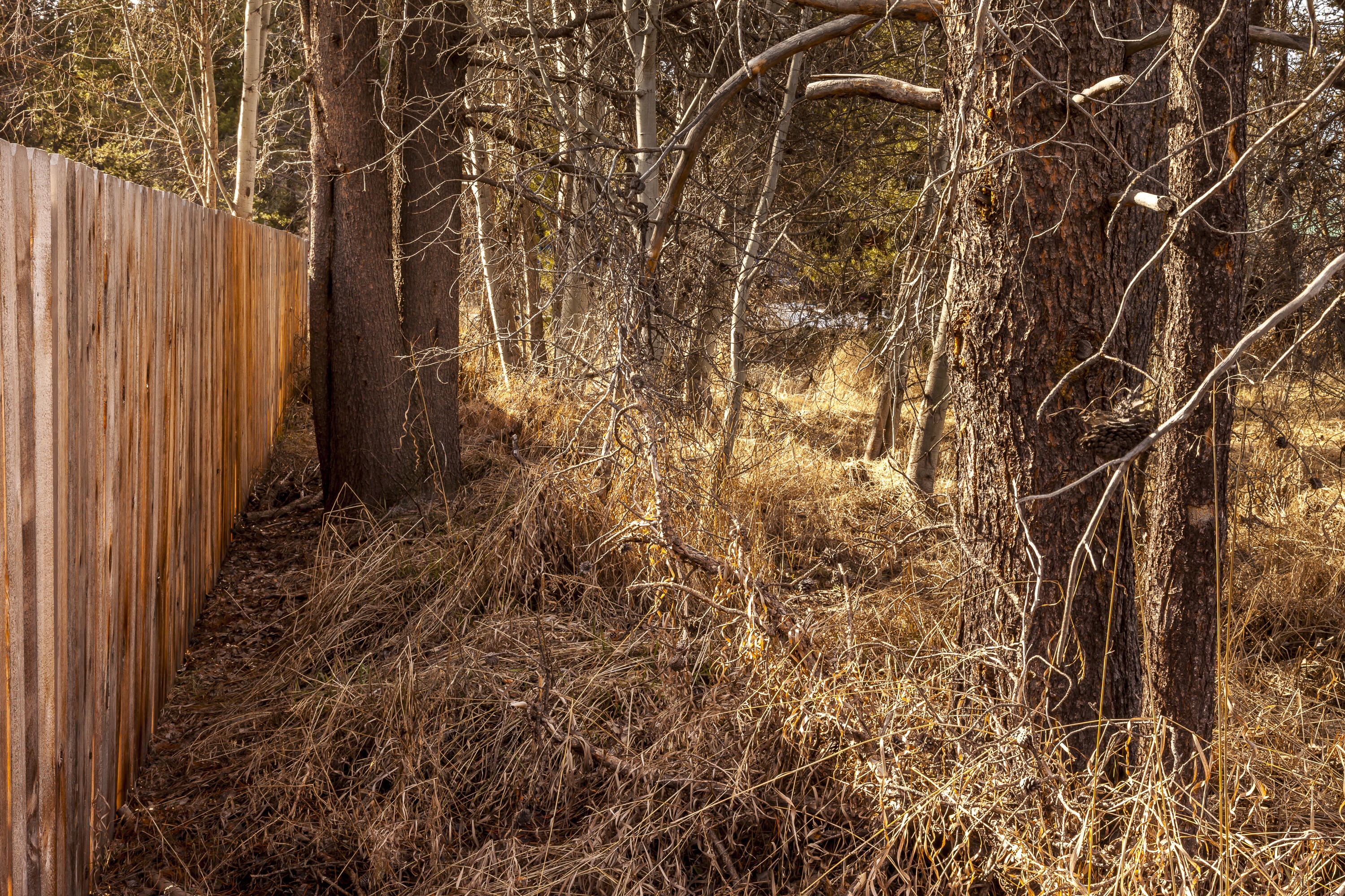 0 Main Street Crescent, OR 97733 - Photo 5 of 14 a view of a backyard of the house