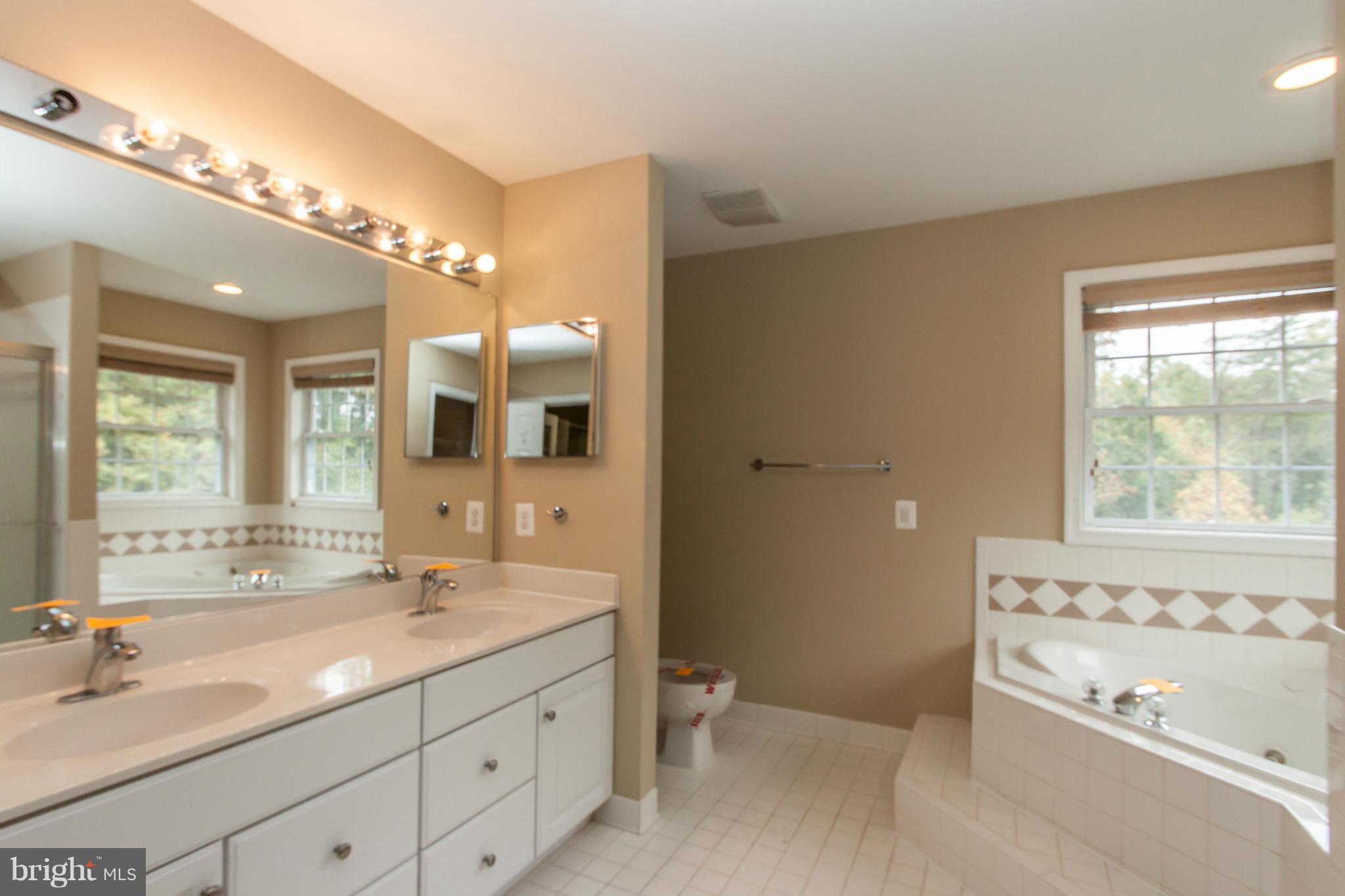 11200 Henderson Road Fairfax Station, VA 22039 - Photo 11 of 24 Bath (Master)
