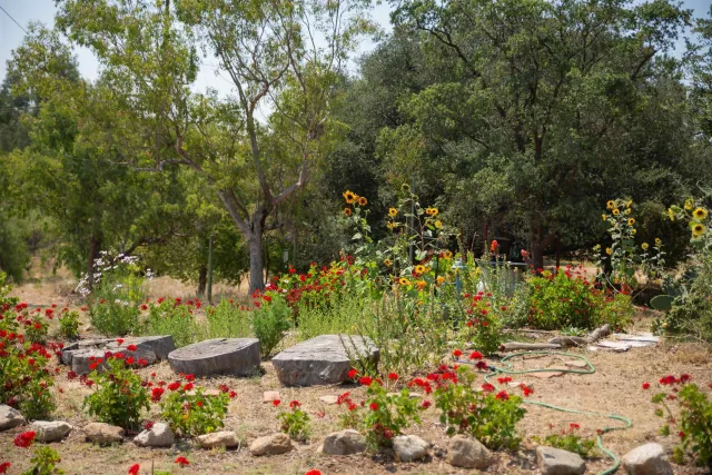 $585,000 | 20083 Highway 76, Pauma Valley, CA 92061