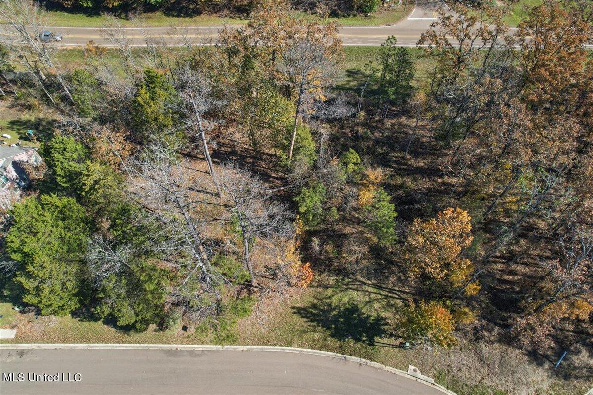Wind Dance Drive Madison, MS 39110 - Photo 3 of 8 02-DJI_0401