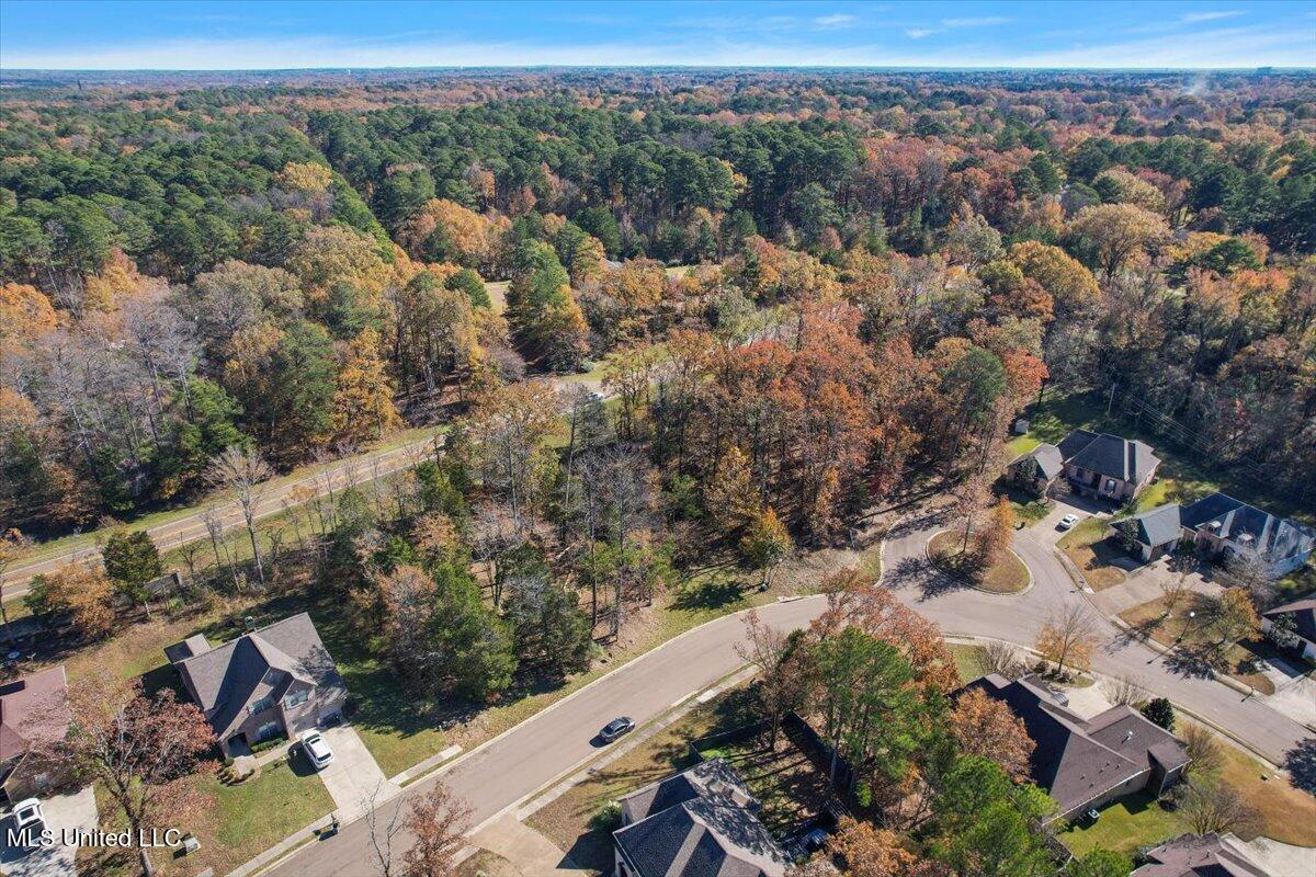Wind Dance Drive Madison, MS 39110 - Photo 4 of 8 05-DJI_0407