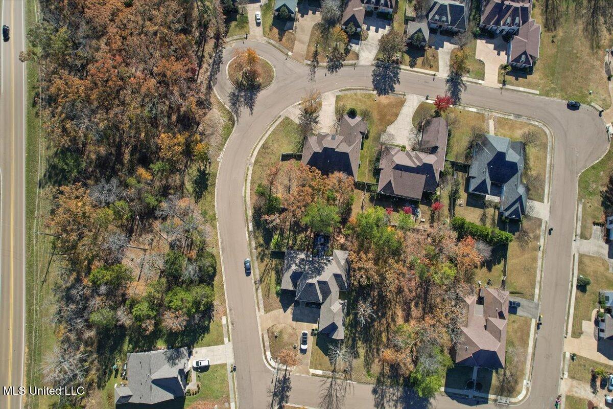 Wind Dance Drive Madison, MS 39110 - Photo 6 of 8 15-DJI_0458