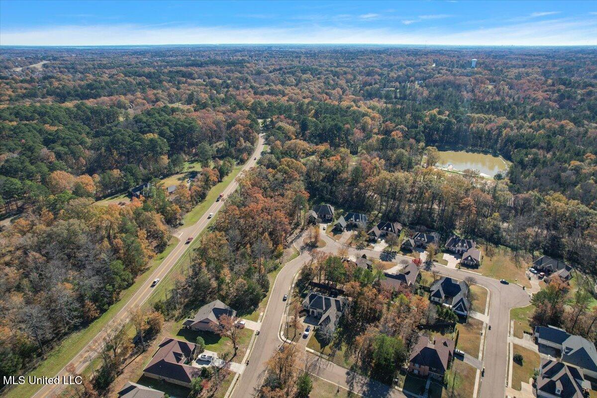Wind Dance Drive Madison, MS 39110 - Photo 7 of 8 10-DJI_0455