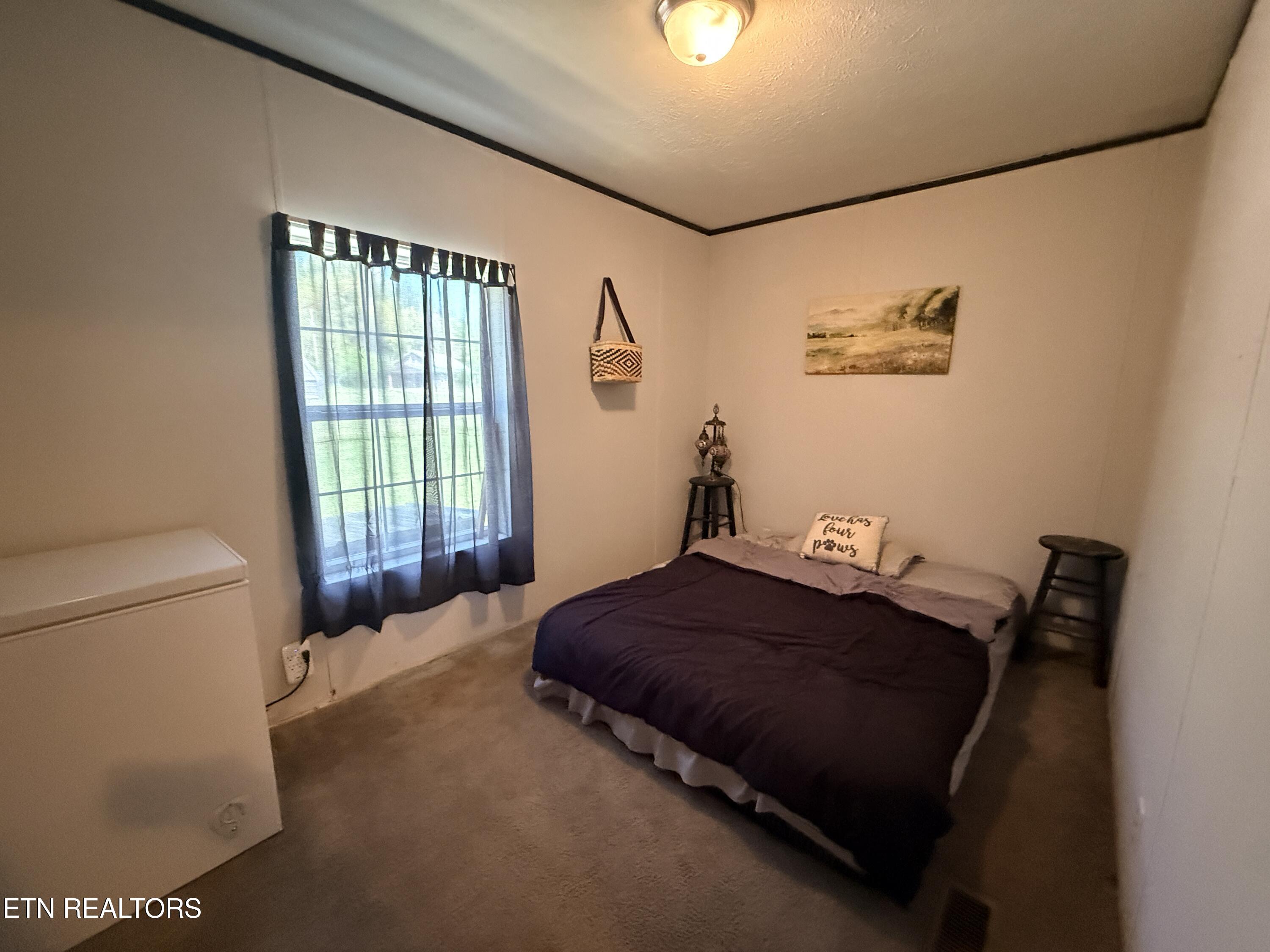 174 Claude Howard Road Deer Lodge, TN 37726 - Photo 27 of 44 IMG_3913