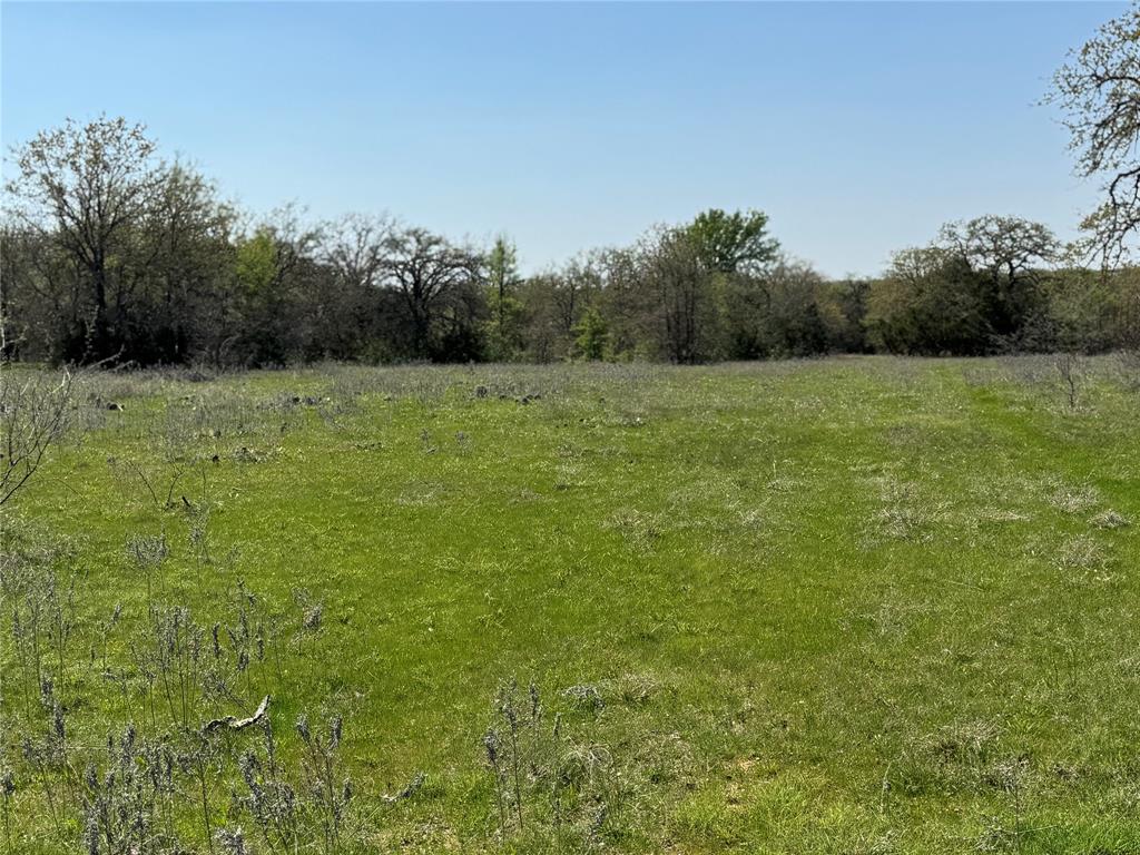 1885 St Perrin Tx 76486 Perrin, TX 76486 - Photo 11 of 15 a view of outdoor space and yard