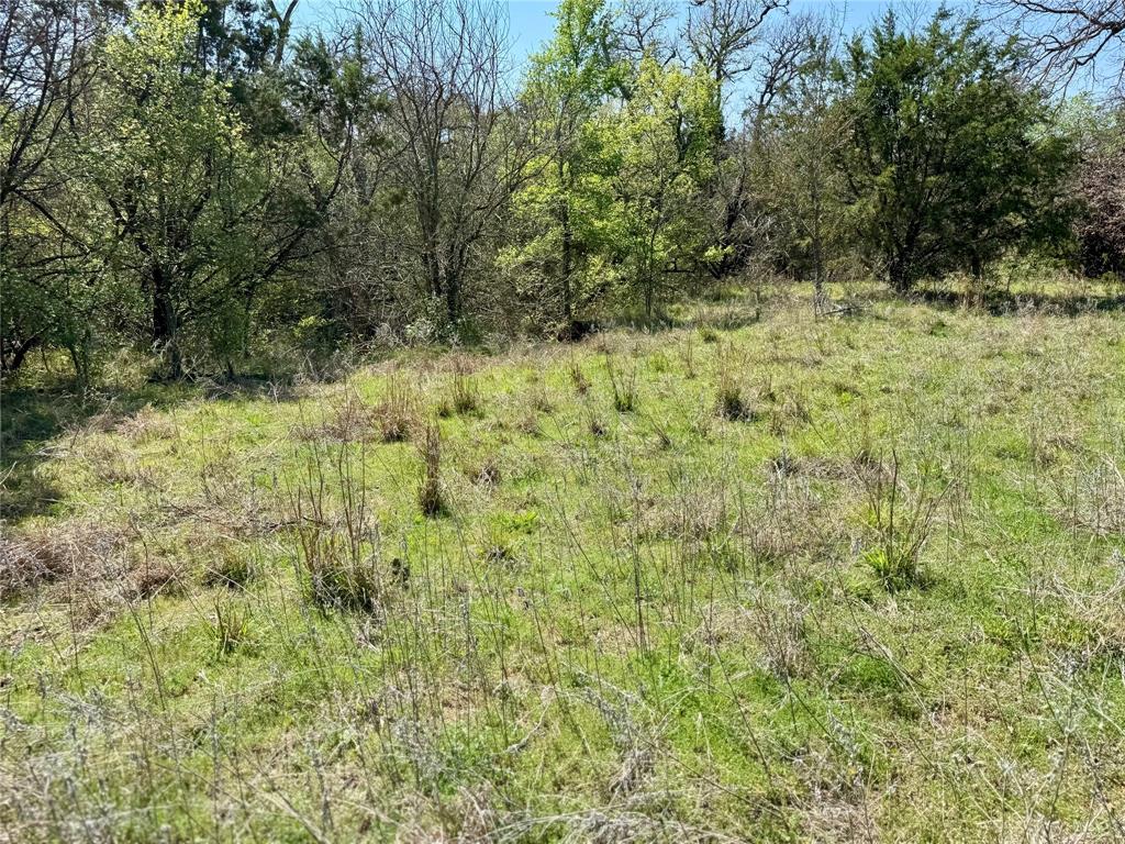 1885 St Perrin Tx 76486 Perrin, TX 76486 - Photo 12 of 15 a view of a yard with trees