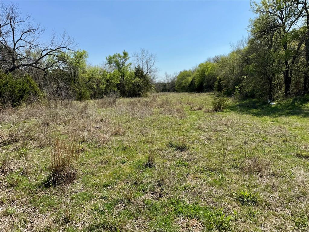 1885 St Perrin Tx 76486 Perrin, TX 76486 - Photo 13 of 15 a view of a yard