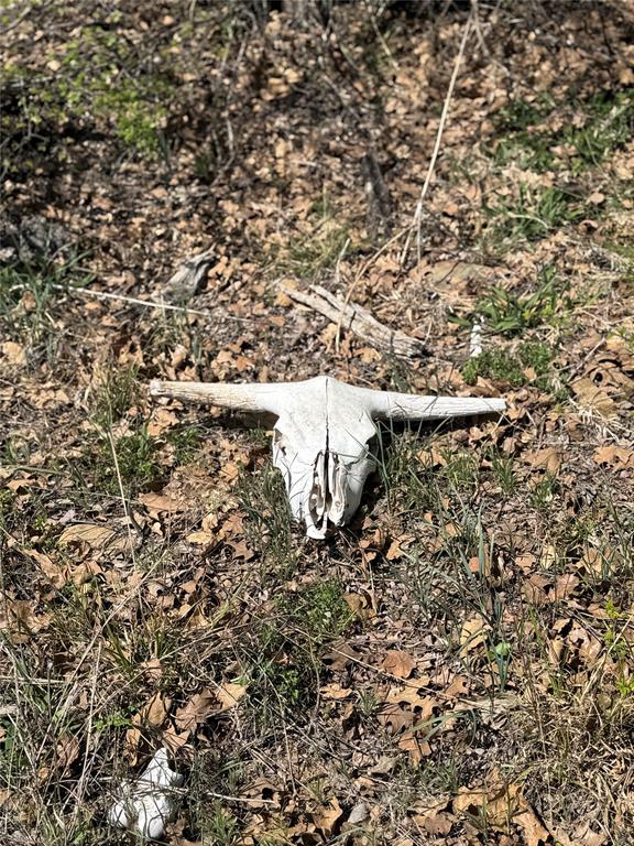 1885 St Perrin Tx 76486 Perrin, TX 76486 - Photo 14 of 15