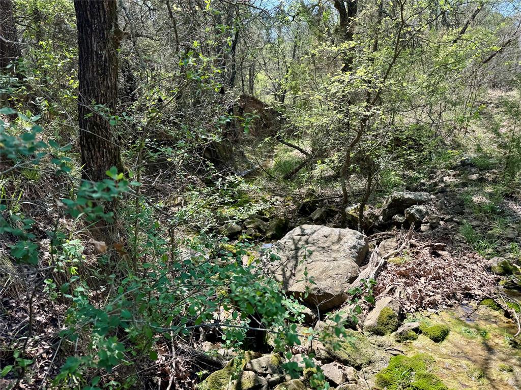 1885 St Perrin Tx 76486 Perrin, TX 76486 - Photo 2 of 15 a view of a forest with a tree