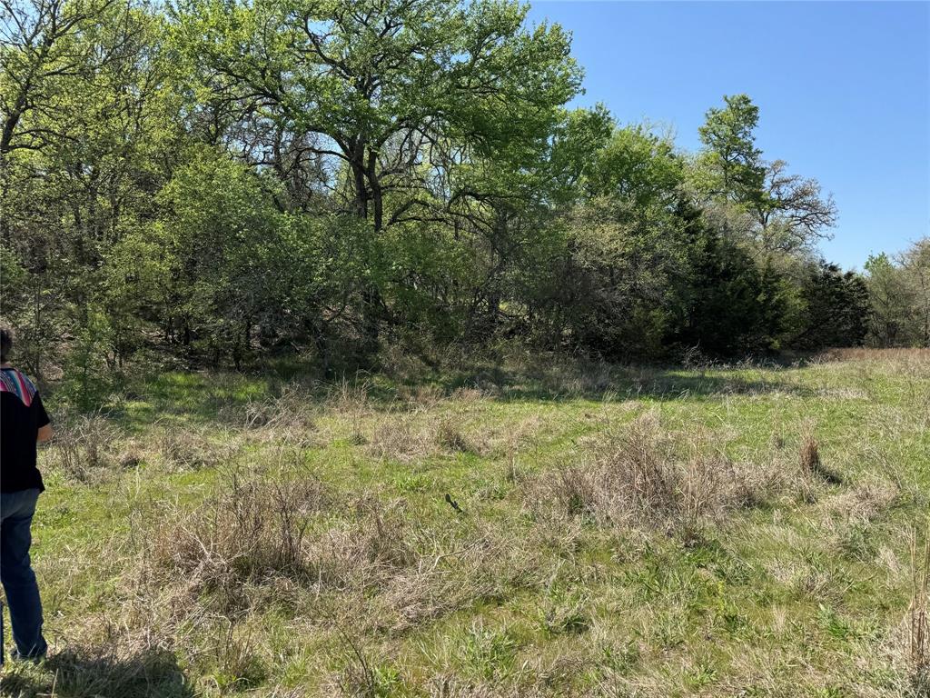 1885 St Perrin Tx 76486 Perrin, TX 76486 - Photo 5 of 15 a view of outdoor space and yard