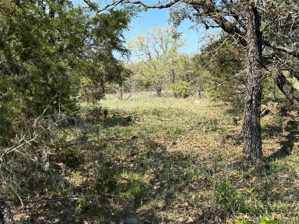 1885 St Perrin Tx 76486 Perrin, TX 76486 - Photo 6 of 15 a view of a yard