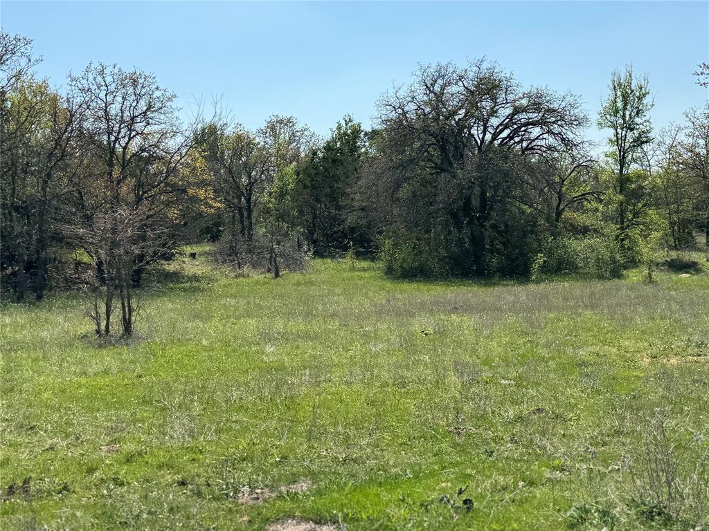 1885 St Perrin Tx 76486 Perrin, TX 76486 - Photo 7 of 15 a big yard with lots of green space and deers