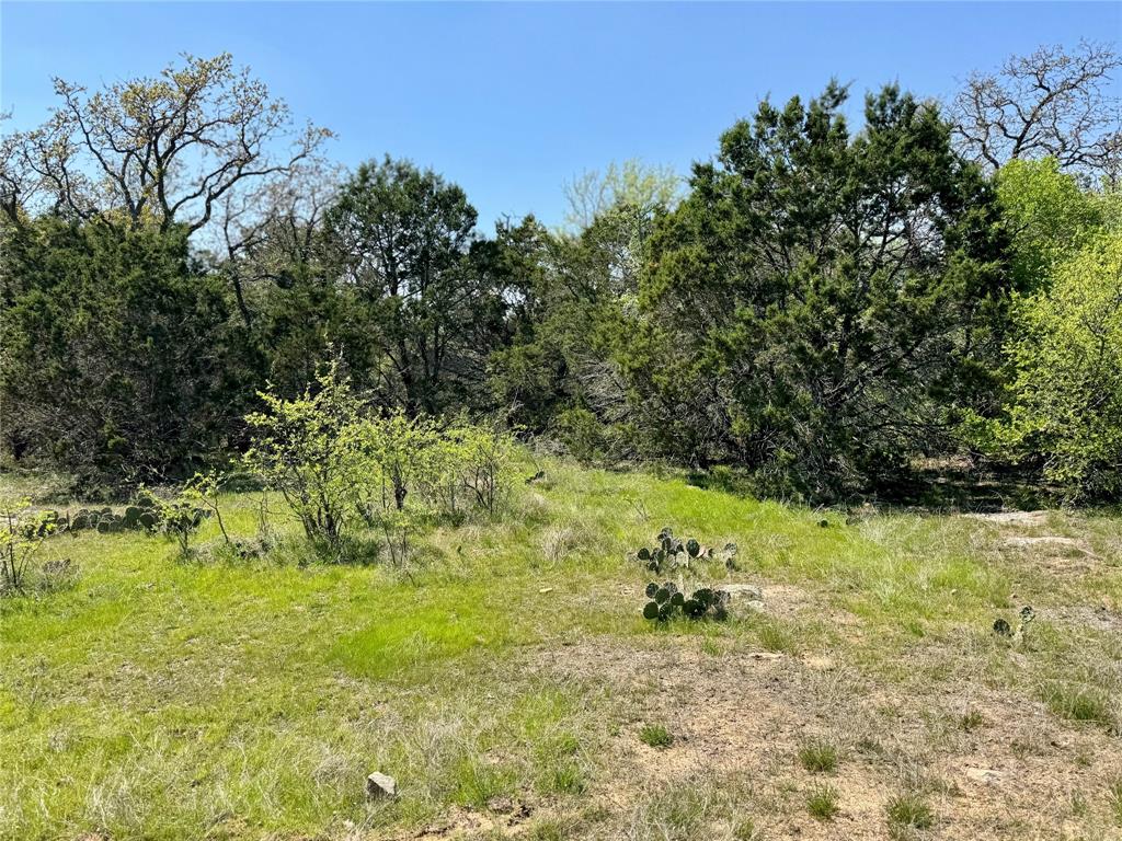 1885 St Perrin Tx 76486 Perrin, TX 76486 - Photo 10 of 15 a view of a yard with large trees