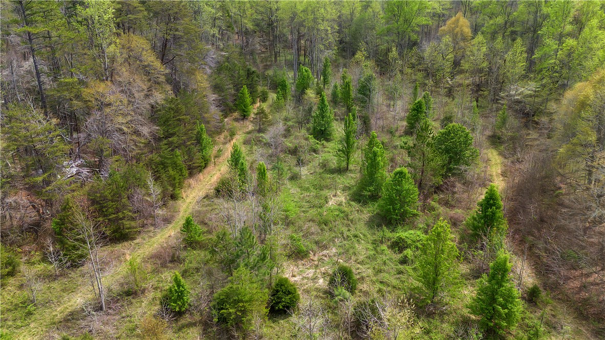 155 Cherokee Trail Easley, SC 29640 - Photo 45 of 47