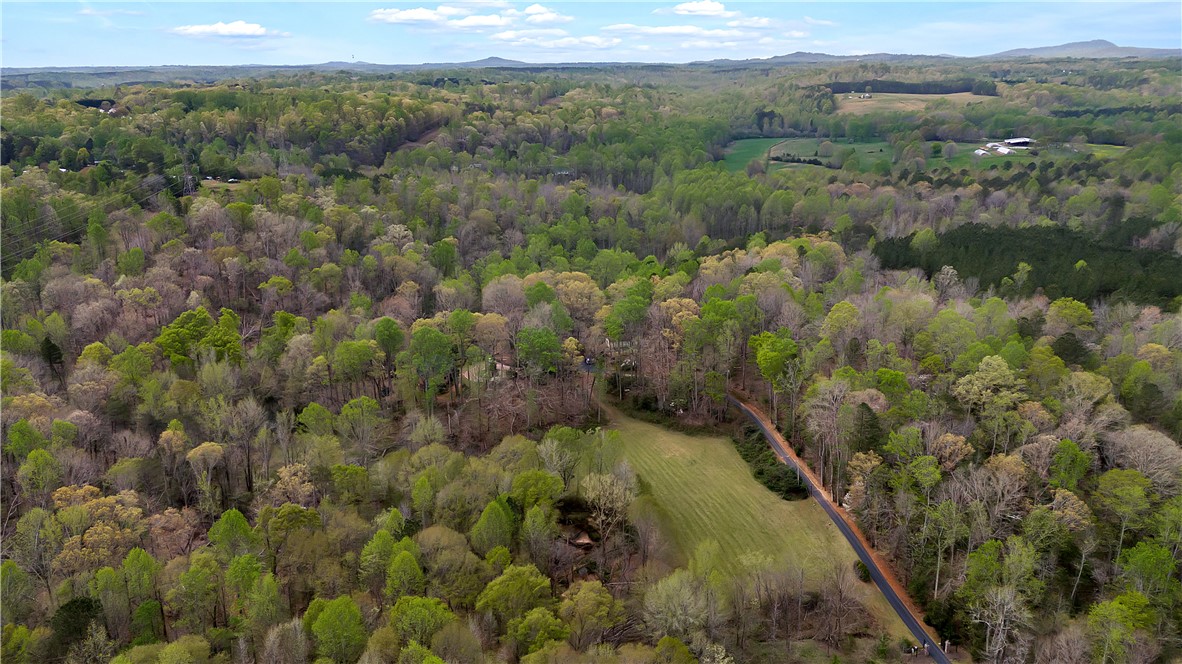 155 Cherokee Trail Easley, SC 29640 - Photo 46 of 47