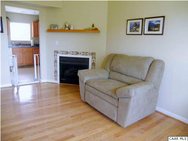 6899 Spring Hill Road Ruckersville, VA 22968 - Photo 11 of 32 a living room with furniture and a fireplace