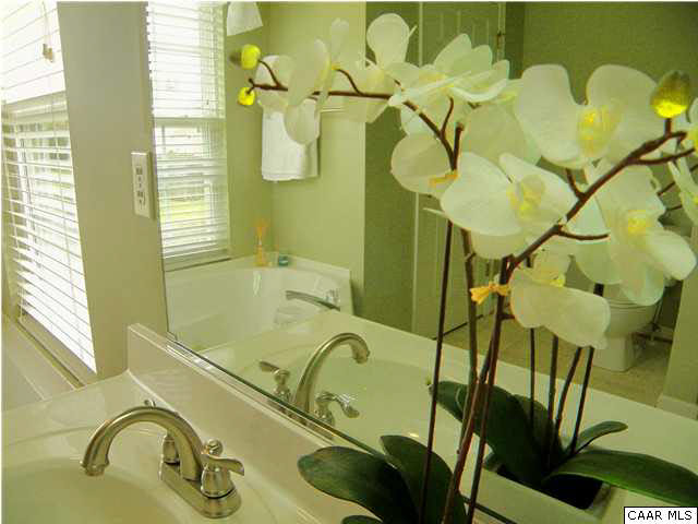 6899 Spring Hill Road Ruckersville, VA 22968 - Photo 18 of 32 a bathroom with a sink and mirror