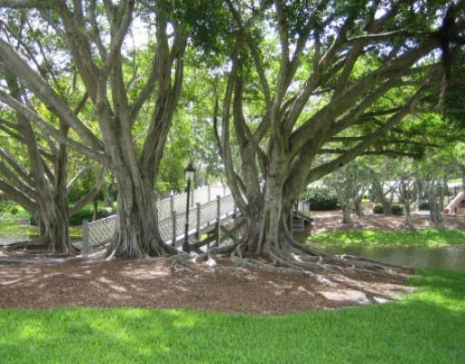 2407 Northwest 40th Circle Boca Raton, FL 33431 - Photo 26 of 27 Millpond_5