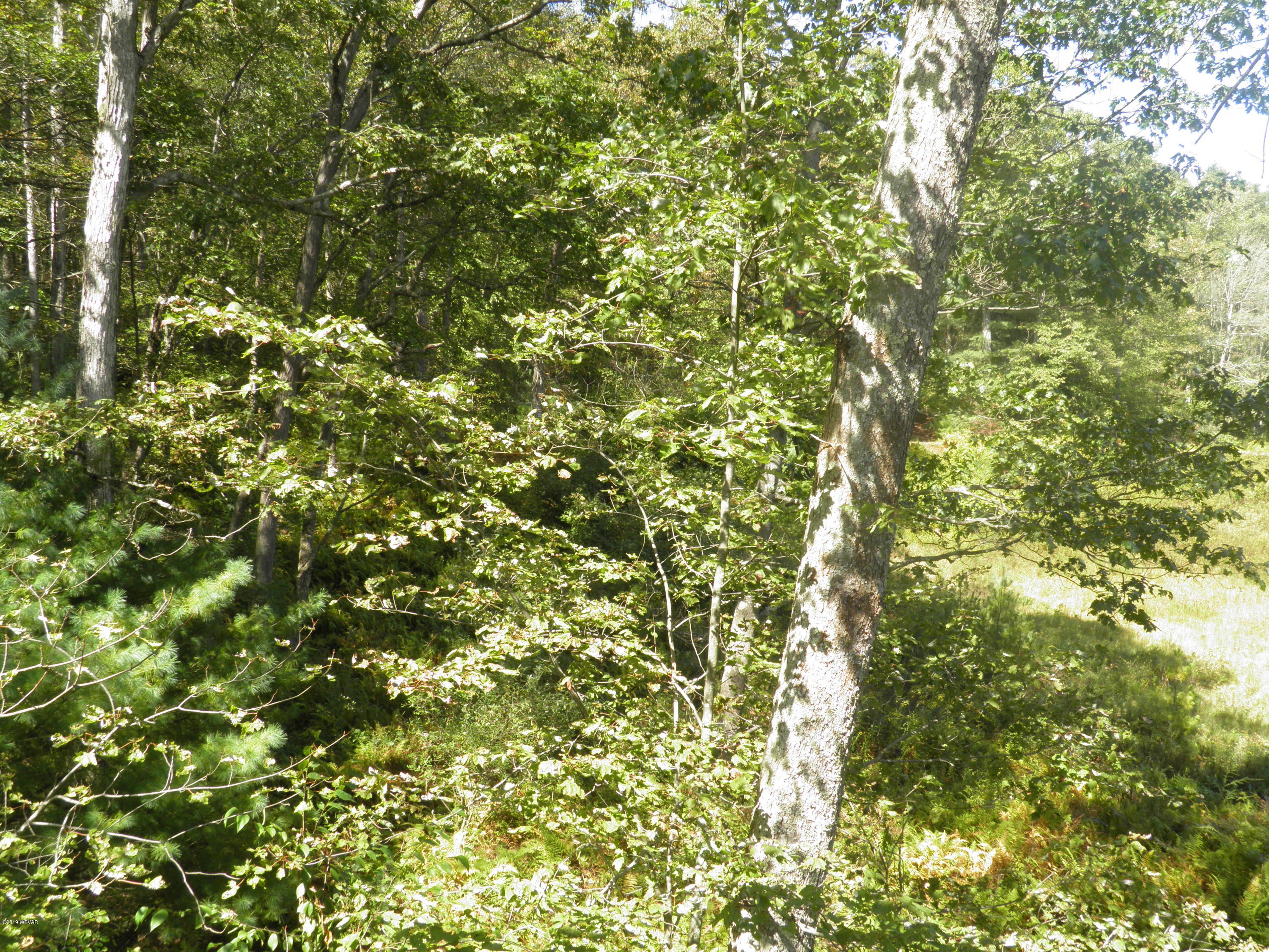1243 4th Gap Road Loganton, PA 17747 - Photo 75 of 91 P1014622