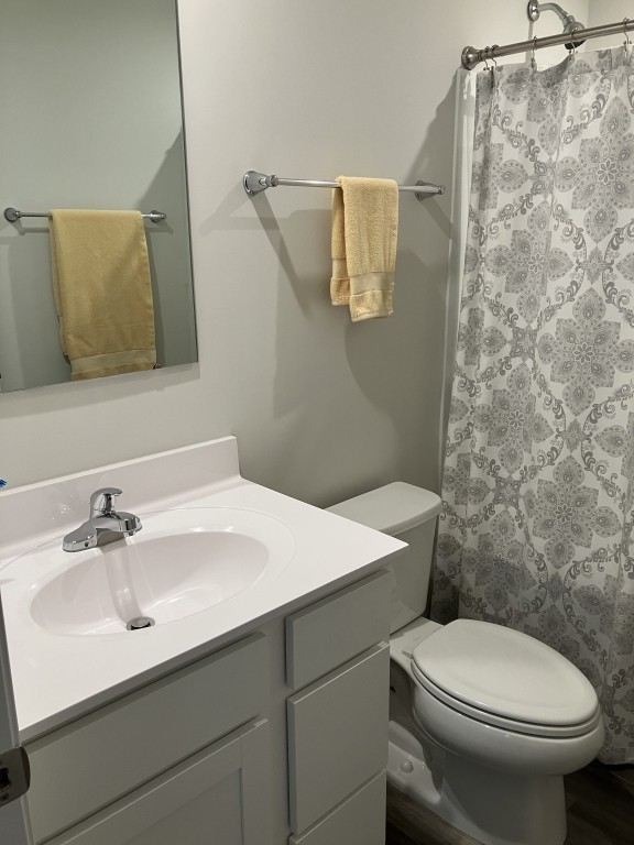 2315 Burnwick Grove Spring Hill, TN 37174 - Photo 12 of 13 a bathroom with a sink mirror and toilet