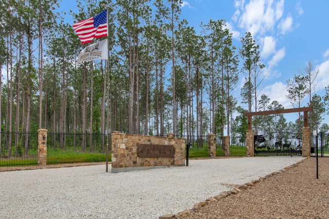 a street view with tall trees