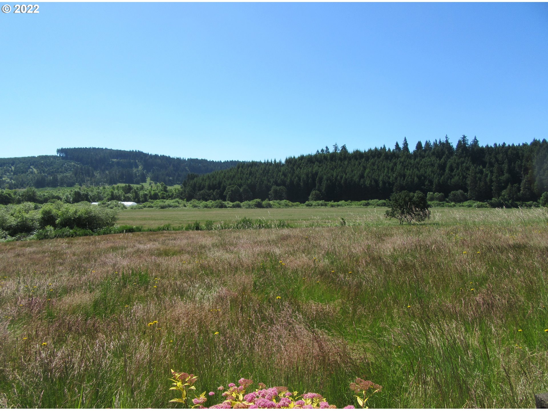27635 Siuslaw Road Lorane, OR 97451 - Photo 19 of 20 Gallery Image 19