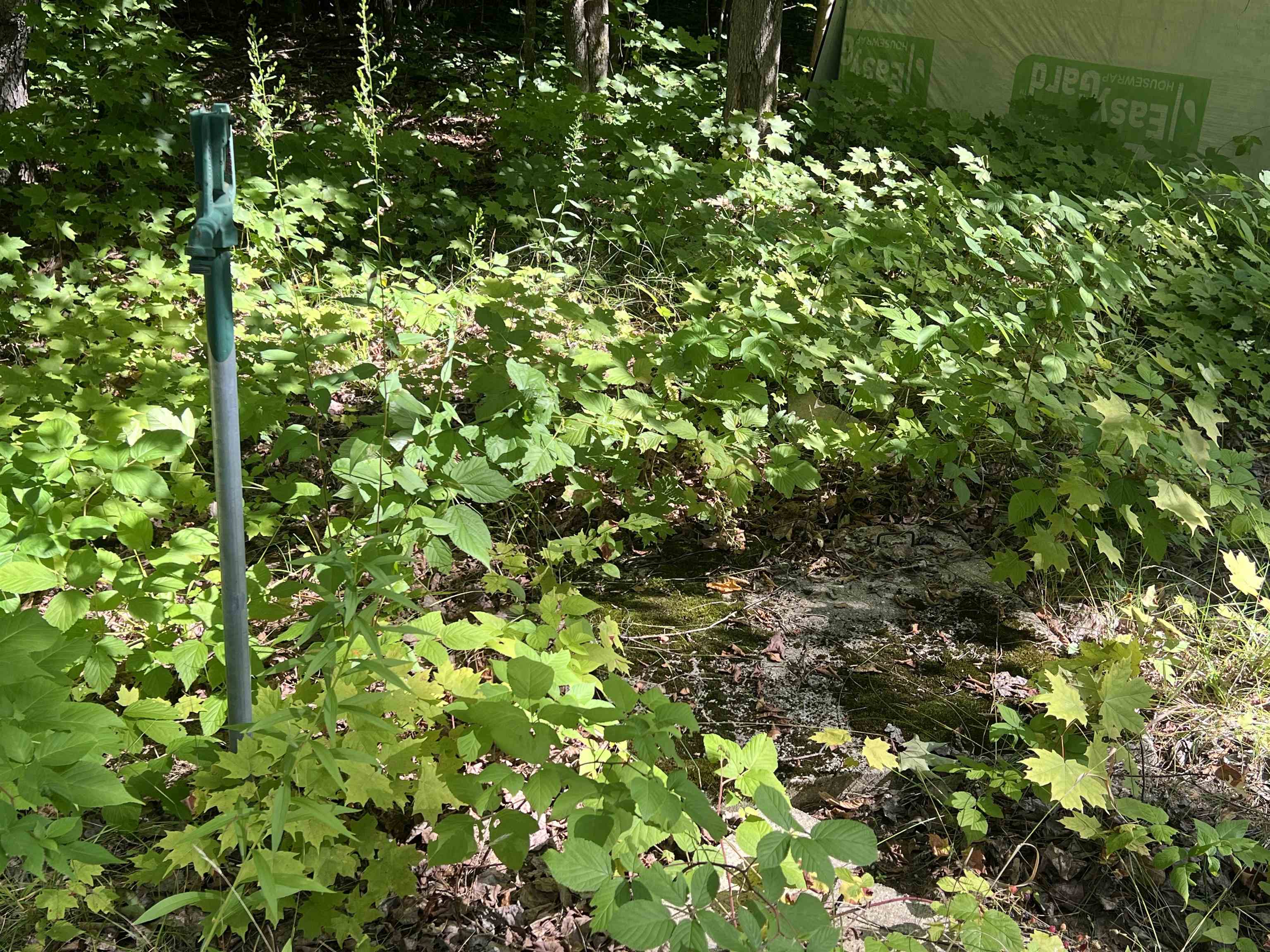 4170 Toat Road Northeast Kalkaska, MI 49646 - Photo 14 of 17 Gallery Image 14