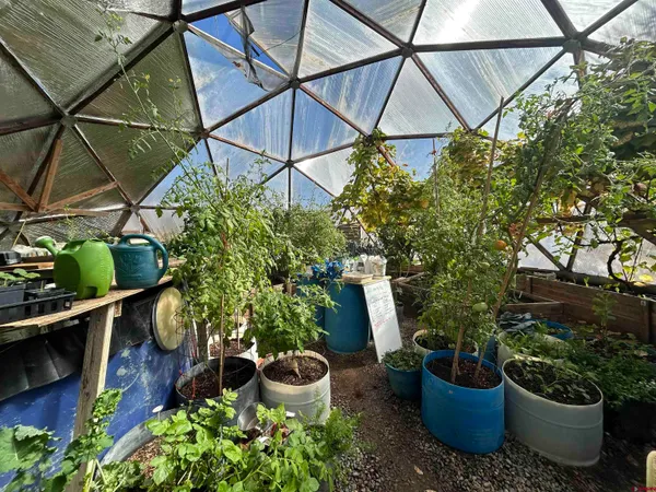 a view of a backyard with plants and a potted plant