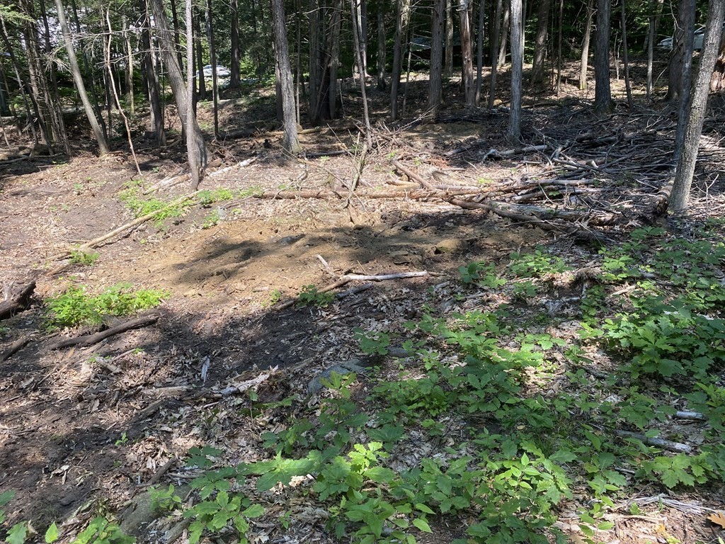 0 Bailey Road Buckland, MA 01338 - Photo 12 of 13 Gallery Image 12