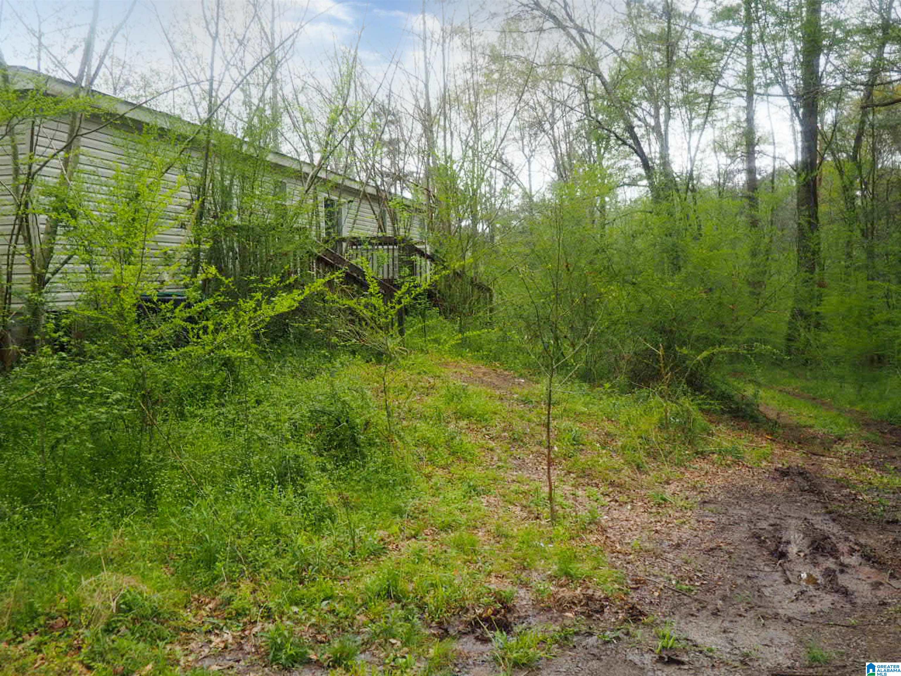 4731 Palos Road Dora, AL 35062 - Photo 14 of 17