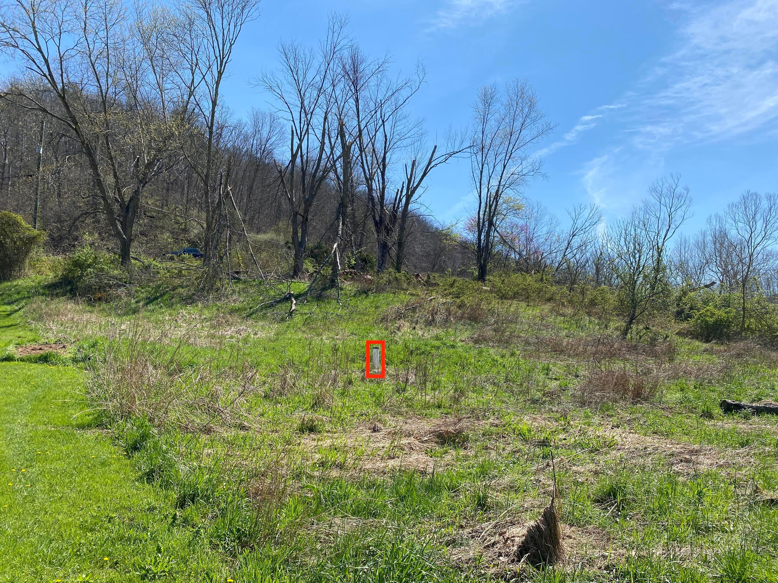 0 West Side Tr Reedsville, OH 45772 - Photo 7 of 19 Middle of the property, drilled well marked in center of photo.