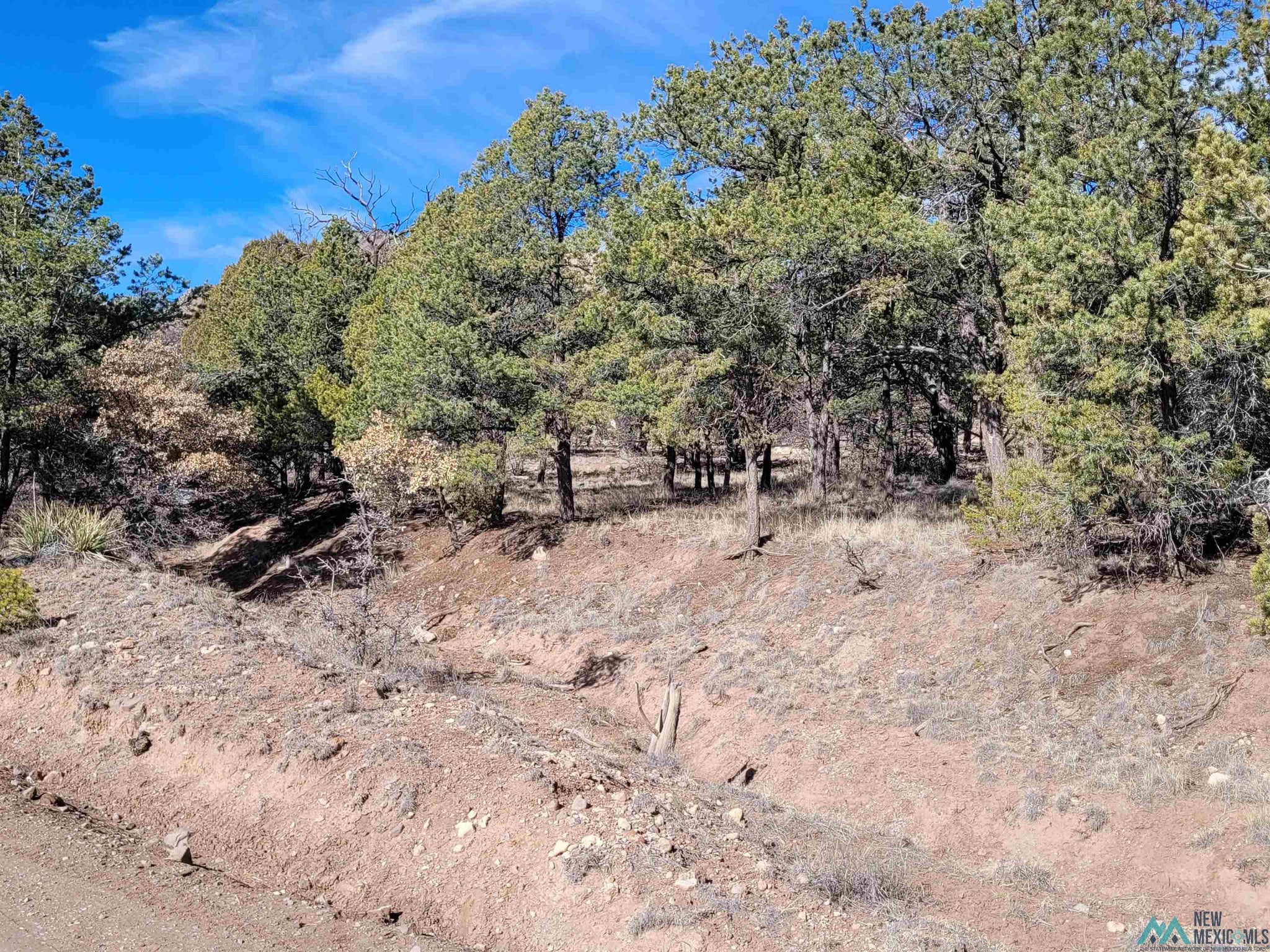 0 Homestead Trail, Unit 37 Datil, NM 87821 - Photo 12 of 20 Gallery Image 12