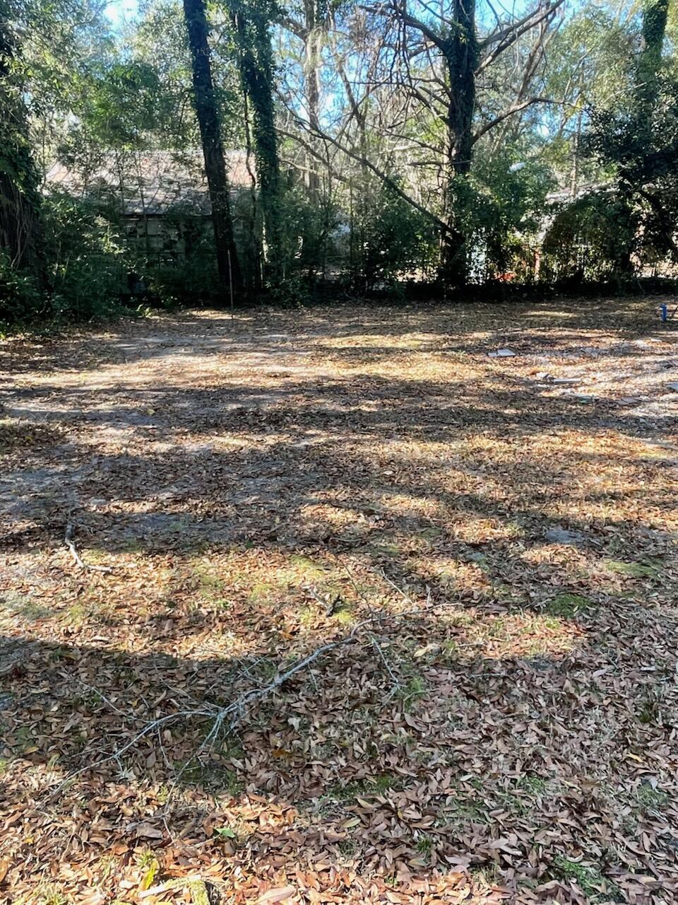 1218 Wichman Street Walterboro, SC 29488 - Photo 19 of 19 IMG_2257