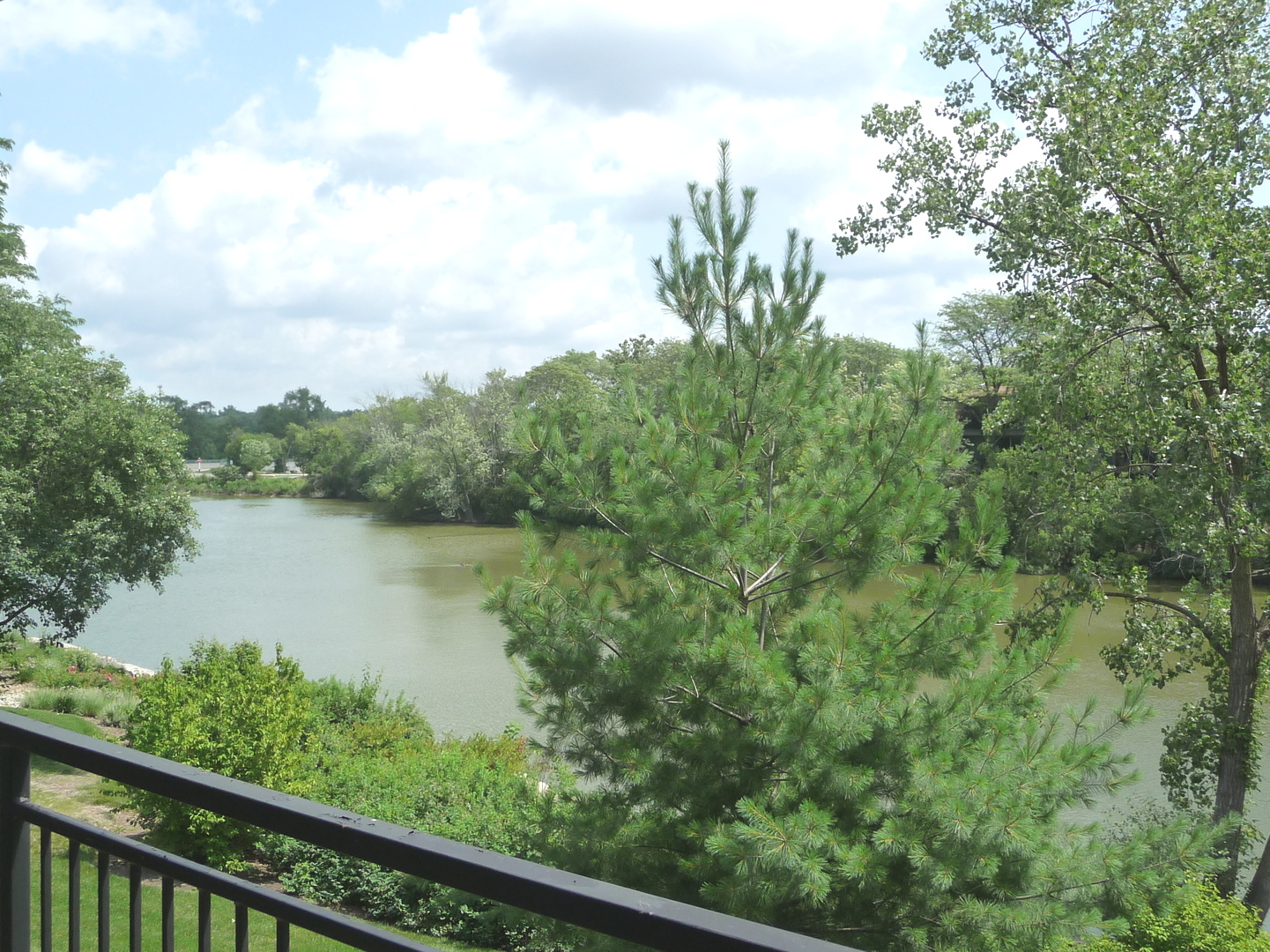 6011 Forest View Road, Unit 2C Lisle, IL 60532 - Photo 12 of 14
