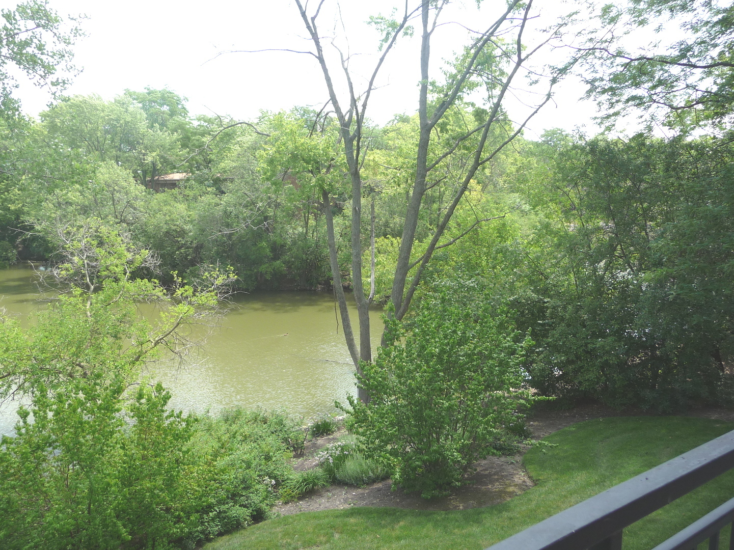 6011 Forest View Road, Unit 2C Lisle, IL 60532 - Photo 13 of 14